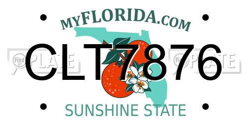 CLT7876 Florida License Plate