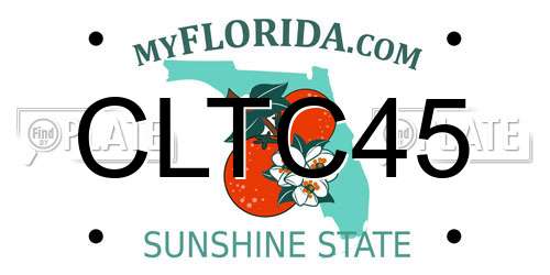 CLTC45 Florida License Plate