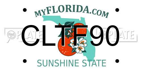 CLTF90 Florida License Plate