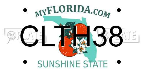 CLTH38 Florida License Plate