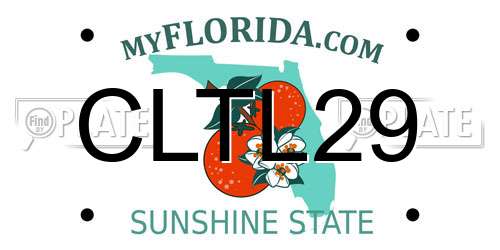 CLTL29 Florida License Plate