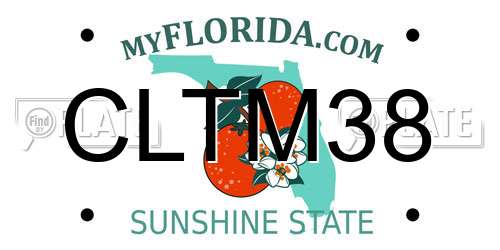 CLTM38 Florida License Plate