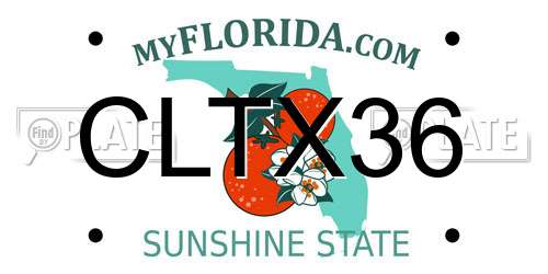 CLTX36 Florida License Plate