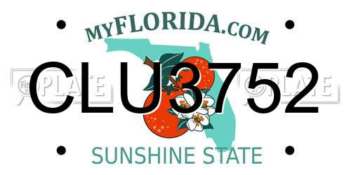 CLU3752 Florida License Plate