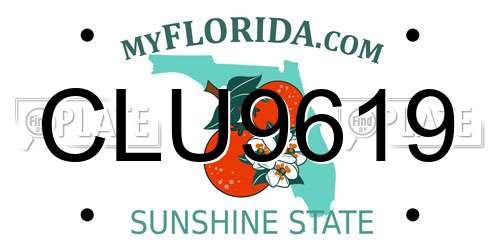 CLU9619 Florida License Plate
