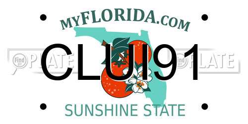 CLUI91 Florida License Plate