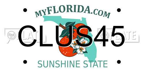 CLUS45 Florida License Plate