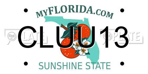 CLUU13 Florida License Plate