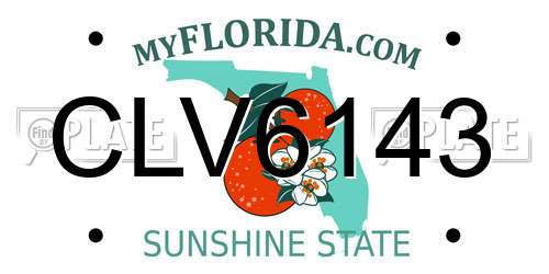 CLV6143 Florida License Plate