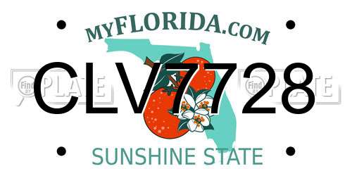 CLV7728 Florida License Plate
