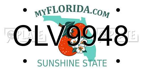 CLV9948 Florida License Plate
