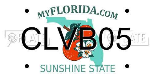 CLVB05 Florida License Plate
