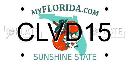CLVD15 Florida License Plate