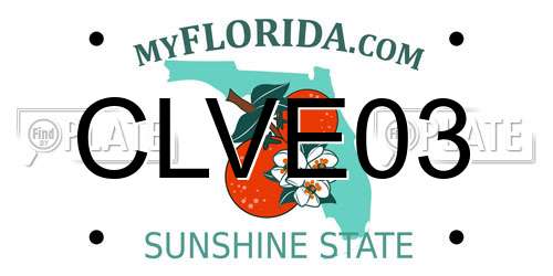CLVE03 Florida License Plate