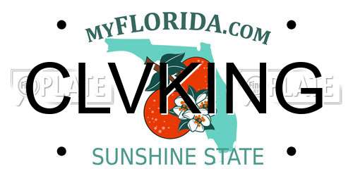 CLVKING Florida License Plate
