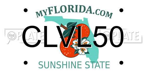 CLVL50 Florida License Plate