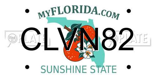 CLVN82 Florida License Plate