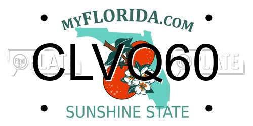 CLVQ60 Florida License Plate