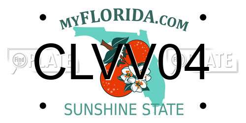 CLVV04 Florida License Plate