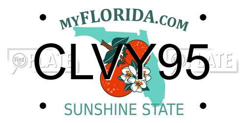 CLVY95 Florida License Plate