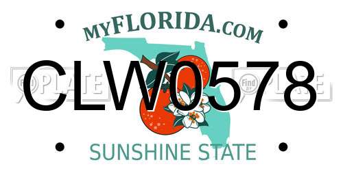 CLW0578 Florida License Plate