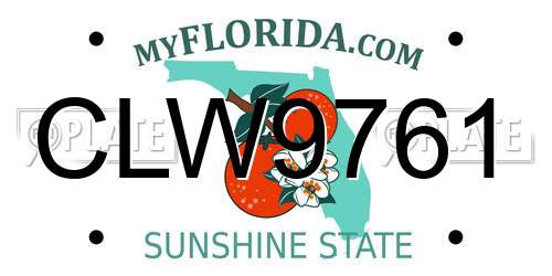 CLW9761 Florida License Plate
