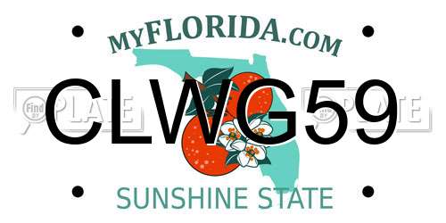 CLWG59 Florida License Plate