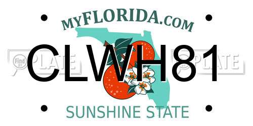 CLWH81 Florida License Plate