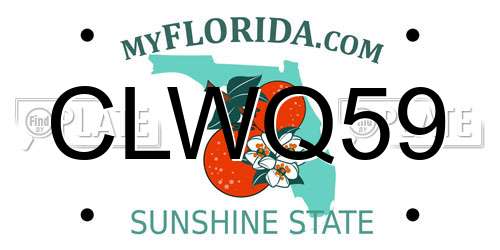 CLWQ59 Florida License Plate