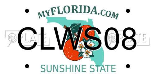 CLWS08 Florida License Plate