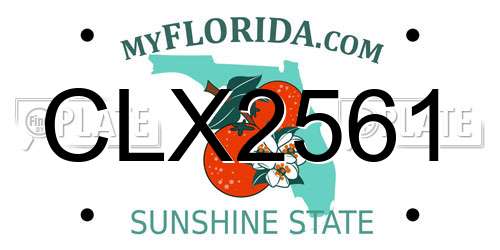 CLX2561 Florida License Plate
