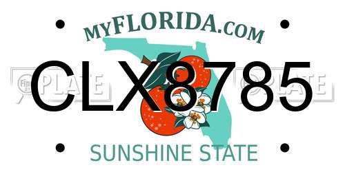 CLX8785 Florida License Plate