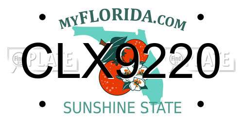 CLX9220 Florida License Plate