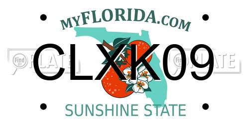 CLXK09 Florida License Plate
