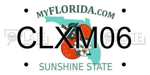 CLXM06 Florida License Plate