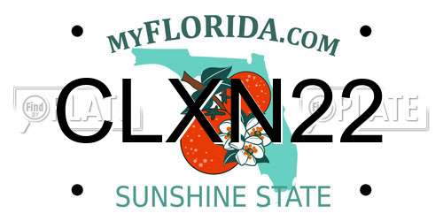 CLXN22 Florida License Plate