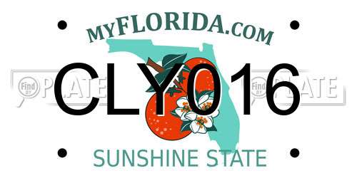 CLY016 Florida License Plate