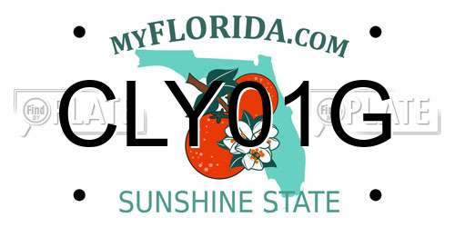 CLY01G Florida License Plate