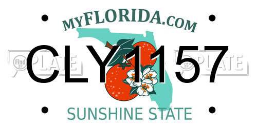 CLY1157 Florida License Plate