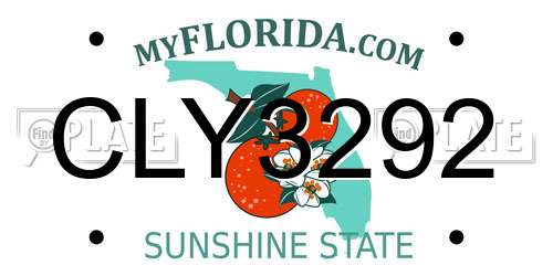 CLY3292 Florida License Plate