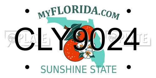 CLY9024 Florida License Plate
