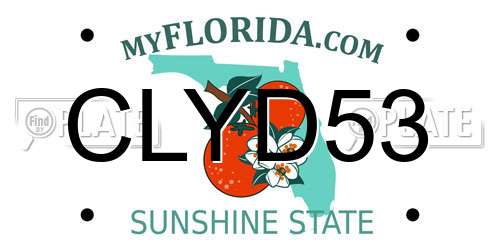 CLYD53 Florida License Plate