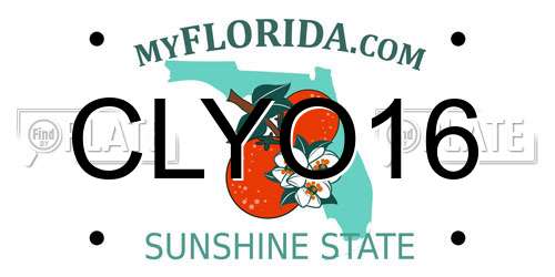 CLYO16 Florida License Plate