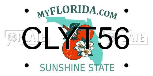 CLYT56 Florida License Plate