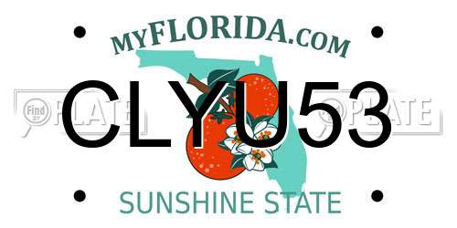 CLYU53 Florida License Plate