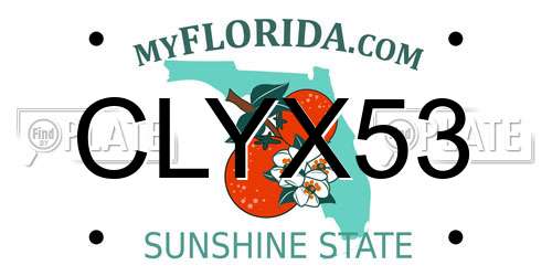 CLYX53 Florida License Plate