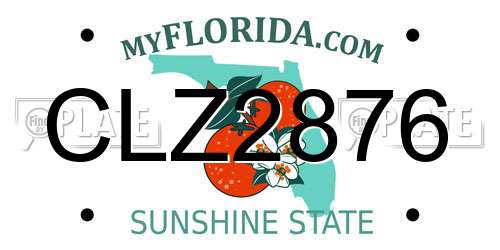 CLZ2876 Florida License Plate