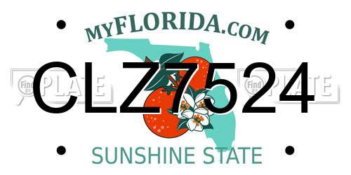CLZ7524 Florida License Plate