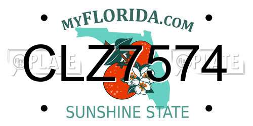 CLZ7574 Florida License Plate