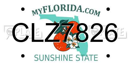 CLZ7826 Florida License Plate